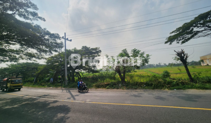 TANAH DIJUAL RAYA MENGANTI GRESIK