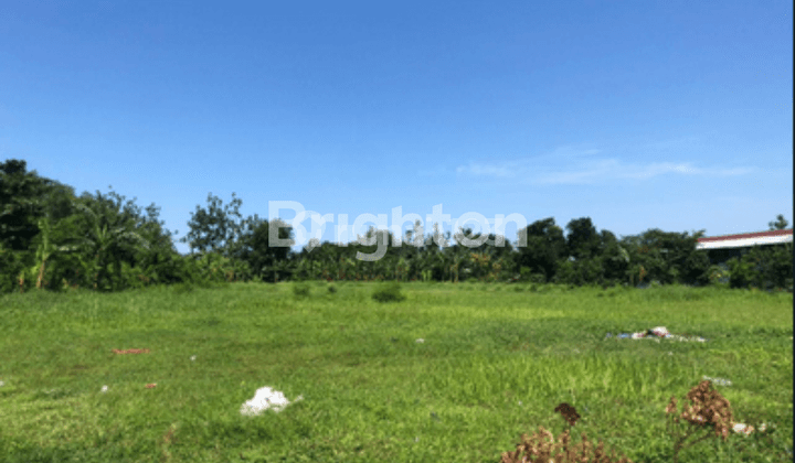 FOR SALE - TANAH LOKASI STRATEGIS DI JALAN RAYA SEDATI AGUNG 1