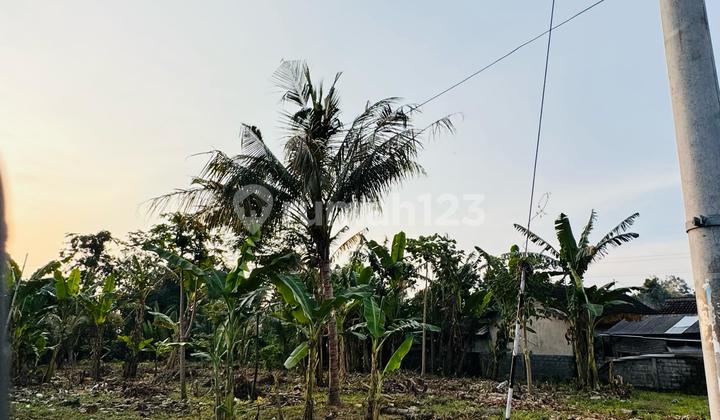 Translate to English: Translate to English: