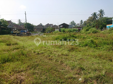 EXCLUSIVE INVESTMENT OPPORTUNITIES IN TAJINAN, MALANG! (LB)