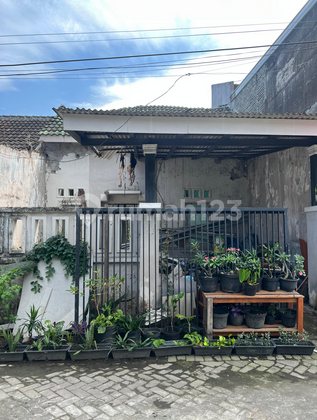 Peluang Investasi Terbaik! Rumah Hitung Tanah di Sidoarjo - Strategis & Bebas Banjir! Peluang Investasi Terbaik! Rumah Hitung Tanah di Sidoarjo - Strategis & Bebas Banjir!