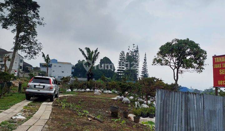 Tanah puncak cocok untuk vila 1