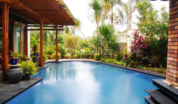 Rumah Cantik Tropical Mewah  1