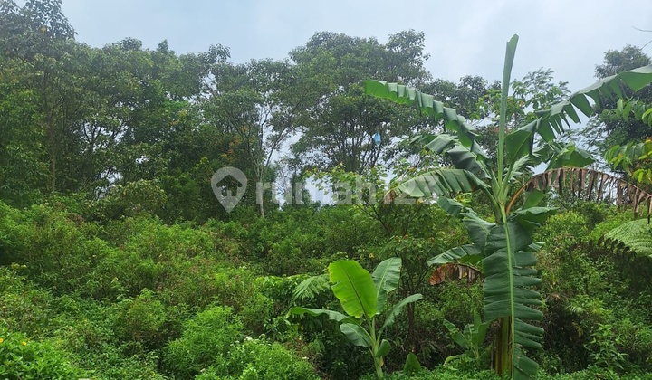 Murah Ada Mata Air Alam Sejuk U Villa Perum Purwakartam