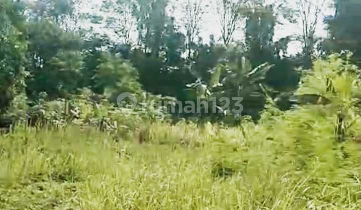 Tanah Komersil Murah NJOP Kranggan Gn Putri Exit Tol Bebas Banjir Tanah Komersil Murah NJOP Kranggan Gn Putri Exit Tol Bebas Banjir