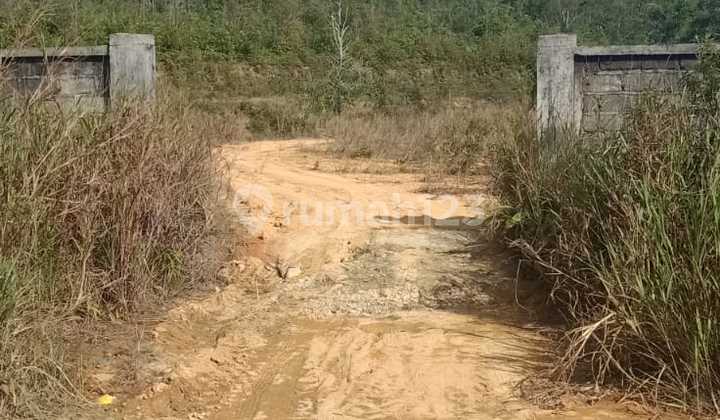 Bintan Dreamland Natural Spring Water Tanjung Pinang Bintan Bintan Dreamland Natural Spring Water Tanjung Pinang Bintan