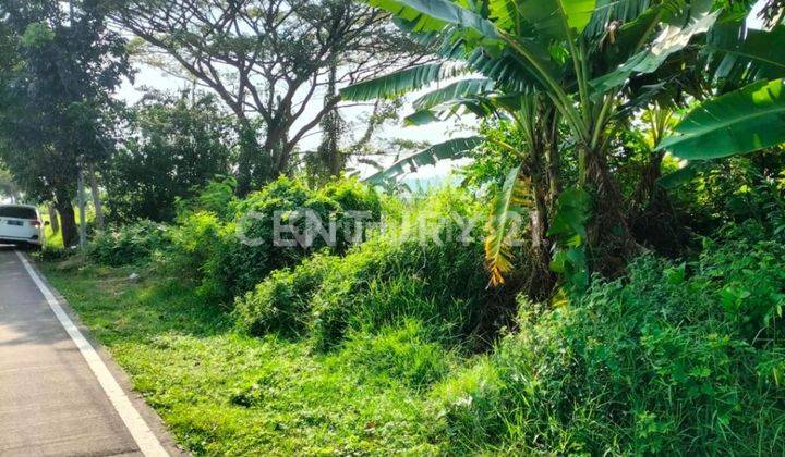 Tanah Jalan Utama Tasikardi Cocok Untuk Gudang 2