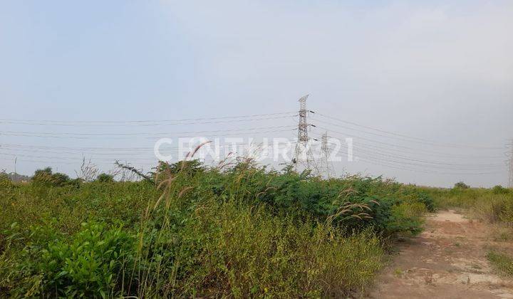 Tanah Jalan Wanasaba Cocok Untuk Perumahan 2