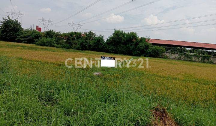 Tanah Dekat Gerbang Seruni Cocok Bangun Perumahan 1