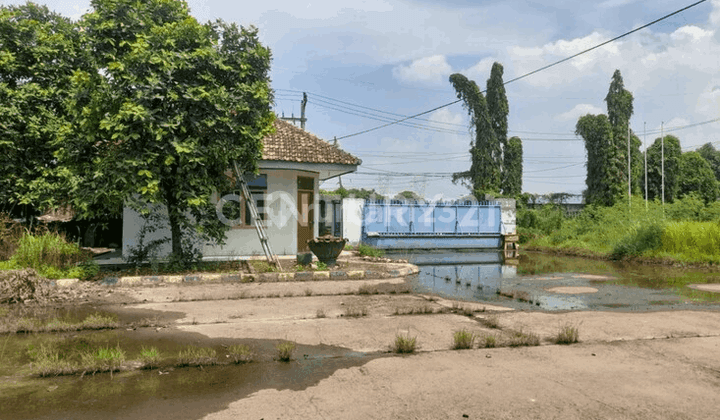 Gudang Multifungsi Jalan Utama Bojonegara 2