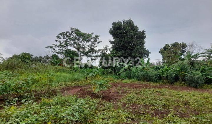 Tanah Dekat Perumahan Dalung Dan Taman Graha Asri 2