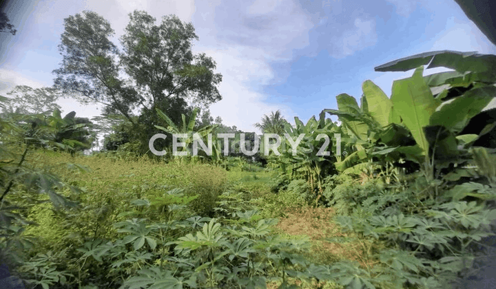 Tanah Cilentrang Purwakarta Nego Sampai Deal 2