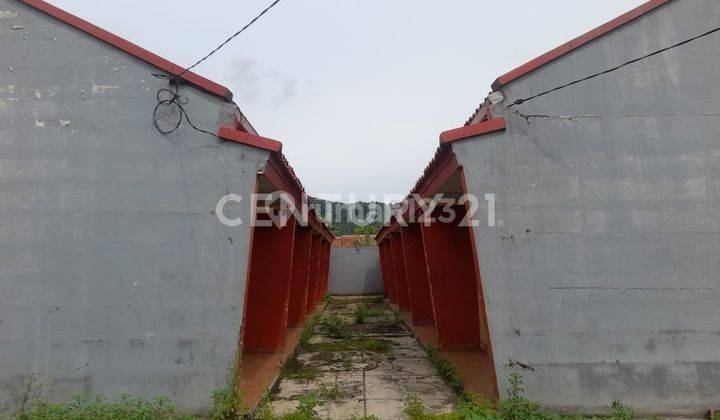 Kontrakan 10 Pintu Kramatwatu Nego Sampai Deal 2