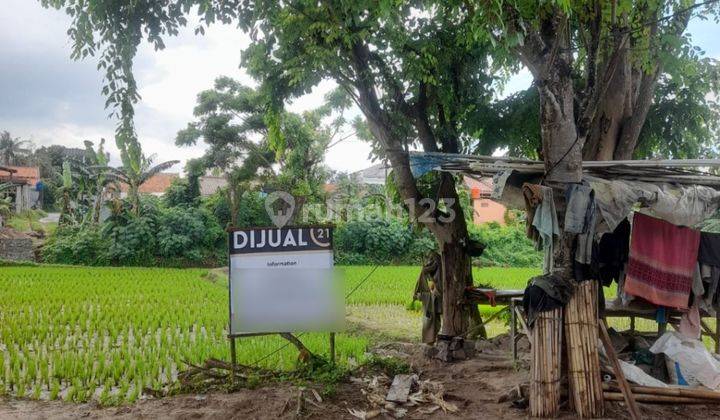 Tanah Sawah Sebelah Puri Garcia Legok Nego 2