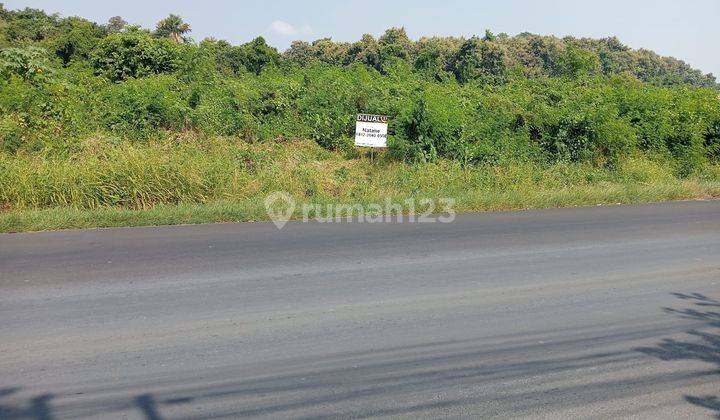 Tanah 3 Hektar Jalan Protokol Depan Gunung Pinang