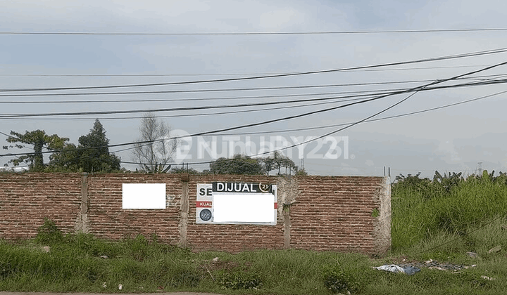 Land Road Bojonegara Terate Negotiable Until Deal.