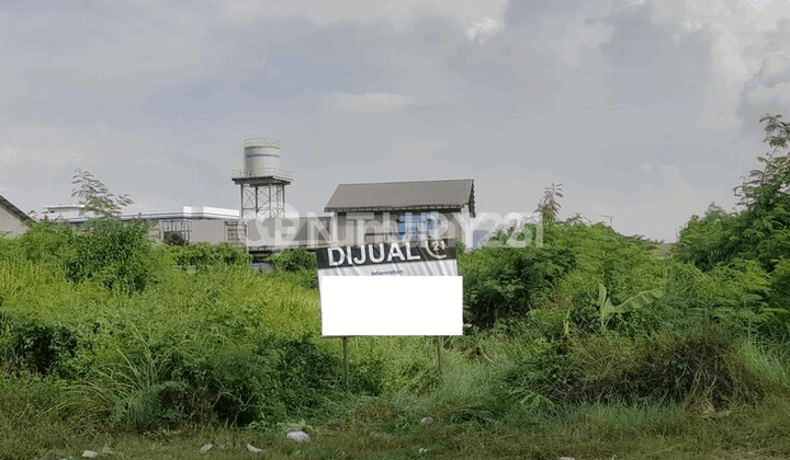 Bojonegara Main Road Land, Terate, Negotiable. Bojonegara Main Road Land, Terate, Negotiable.