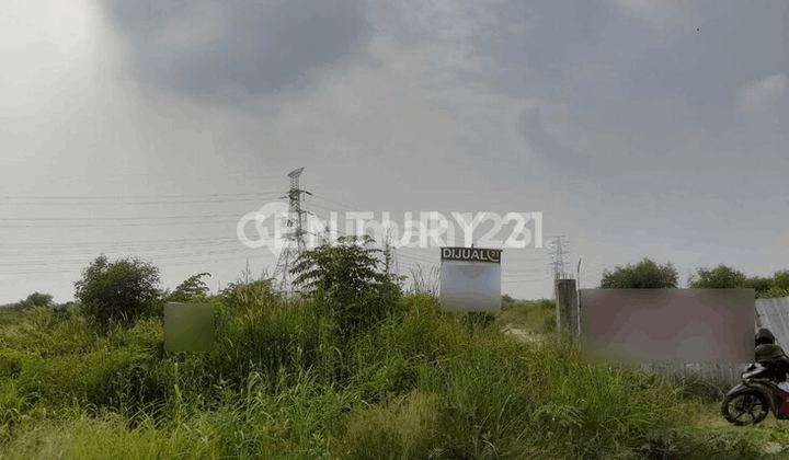 Tanah Jalan Wanasaba Cocok Untuk Perumahan Tanah Jalan Wanasaba Cocok Untuk Perumahan