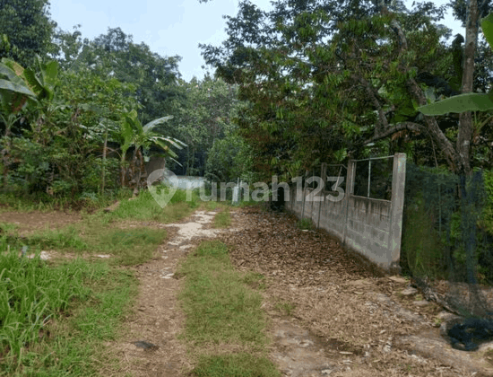 Tanah Kp Sukadalem Waringinkurung Harga Miring Tanah Kp Sukadalem Waringinkurung Harga Miring