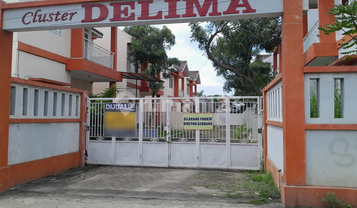 Good Dwelling Limited Pomegranate Cluster System 1