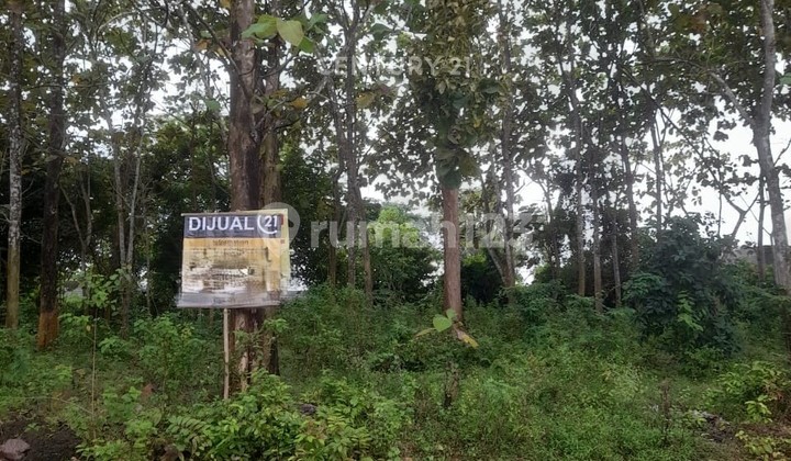 Tanah Strategis Jalan Kuranji Nego Sampai Deal Tanah Strategis Jalan Kuranji Nego Sampai Deal