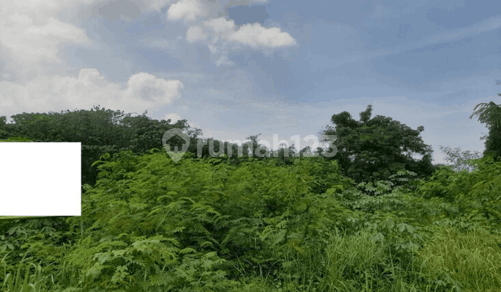 Tanah Strategis Link Banjar Agung Depan Kantor Bnn Tanah Strategis Link Banjar Agung Depan Kantor Bnn