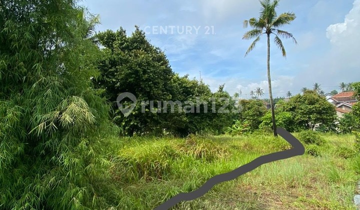 Tanah Kavling Citangkil Jalan Sudah Paving Blok Tanah Kavling Citangkil Jalan Sudah Paving Blok