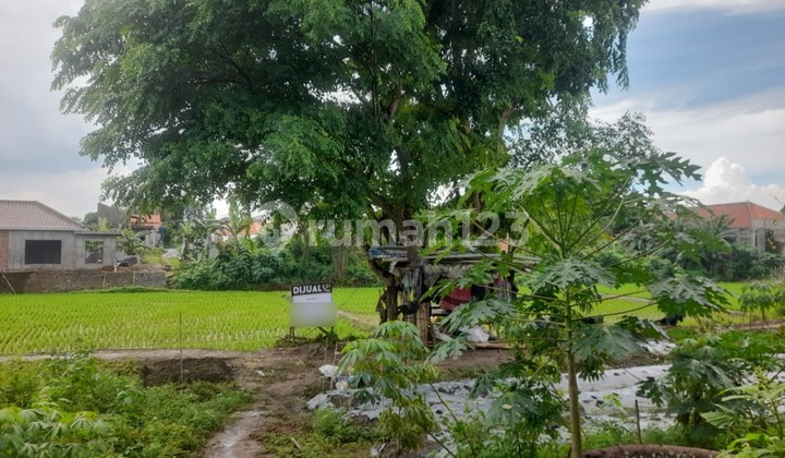 Tanah Sawah Sebelah Puri Garcia Legok Nego Tanah Sawah Sebelah Puri Garcia Legok Nego