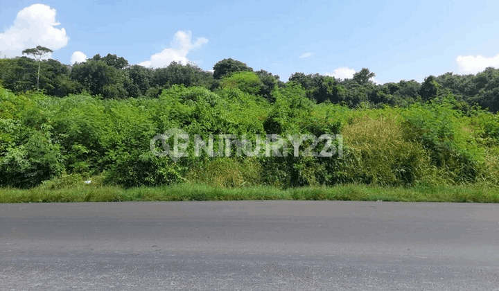 Tanah 3 Hektar Jalan Protokol Depan Gunung Pinang