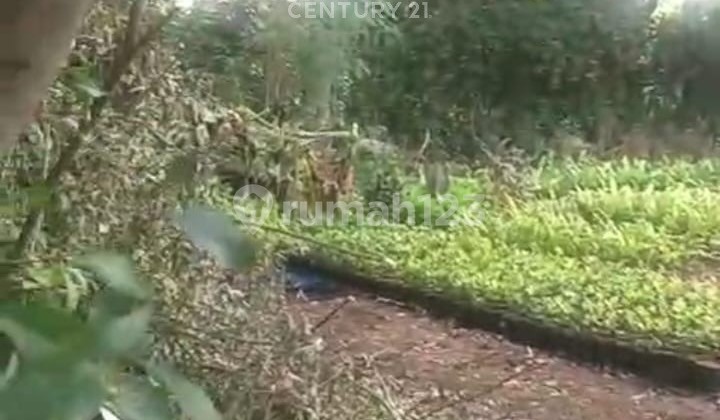 Tanah Meruya Selatan Nego Sampai Deal Tanah Meruya Selatan Nego Sampai Deal