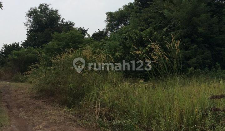 Tanah Kavling Griya Baladika Taktakan Akses Tol Tanah Kavling Griya Baladika Taktakan Akses Tol