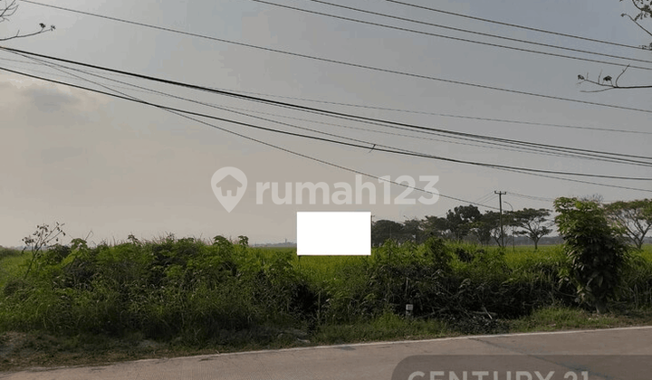 Tanah Pamengkang Tasikardi Jalan Utama Nego