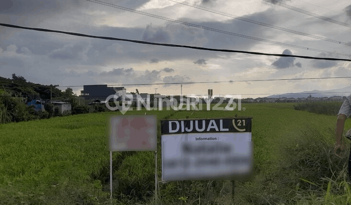 Tanah Luas Dekat Terminal Seruni Akses Tol