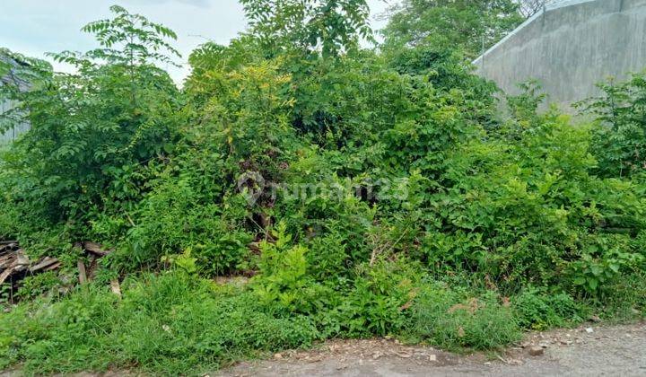 Land for sale on the main road of Dharmawangsa Kampial Nusa Dua 2