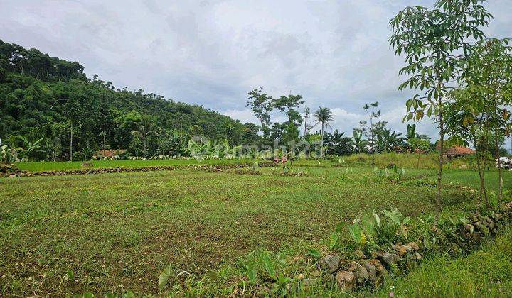 Di Jual Tanah Darat Dan Sawah Di Pamijahan Bogor 1