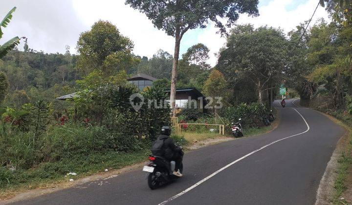 Land for sale in Munduk Buleleng village, Bali, is very good 2