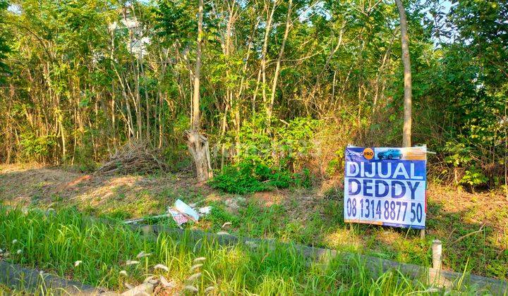 Tanah Simpruk dijual cepat lokasi bagus aman dari banjir 1