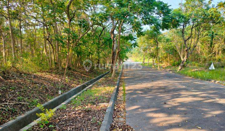 Tanah Simpruk dijual cepat lokasi bagus aman dari banjir 2