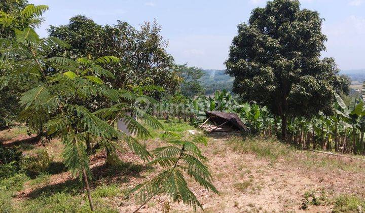 Tanah Di Tanjungsari Kabupaten Bogor Sangat Bagus Pemandangannya Dan Cocok Buat Tempat Periwisata 1