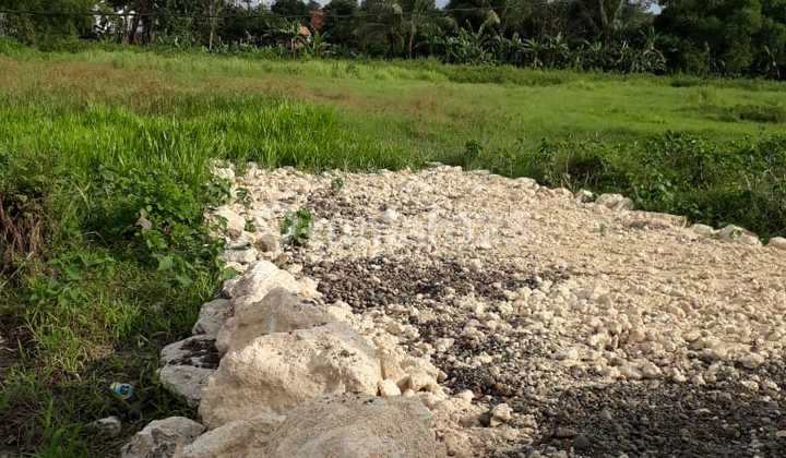 Land on the Side of Tegal Panjang Cibarusah Main Road For Quick Sale Land on the Side of Tegal Panjang Cibarusah Main Road For Quick Sale