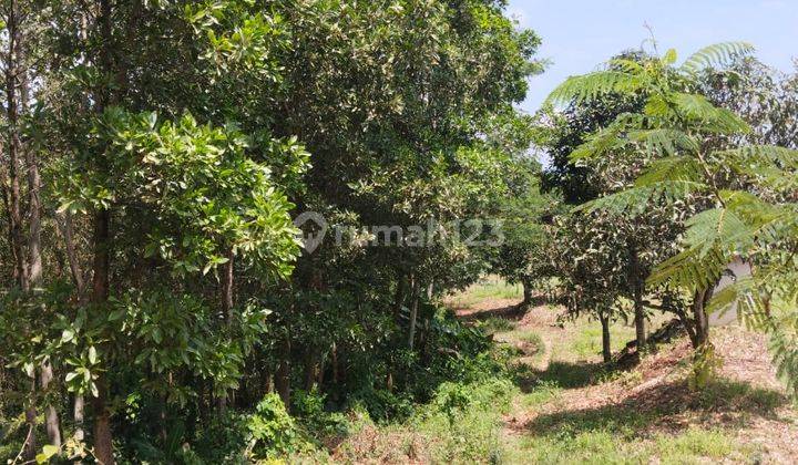 Tanah Di Tanjungsari Kabupaten Bogor Sangat Bagus Pemandangannya Dan Cocok Buat Tempat Periwisata 2