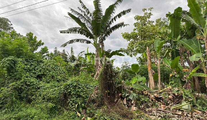 Jual Kavling Mekar Sari, Rumpin Luas 2500 Lokasi Sudah Berkembang