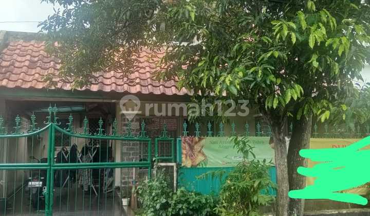 Rumah Murah Model Lama Komplek Anggrek Loka Bsd City Akses Mudah Rumah Murah Model Lama Komplek Anggrek Loka Bsd City Akses Mudah