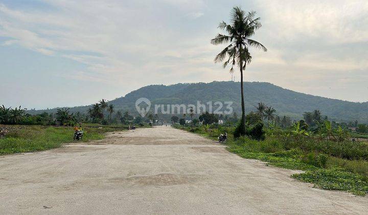 Tanah Serang Ada 32 Ha, Pinggir Jalan Pas Depan Gunung Pinang 