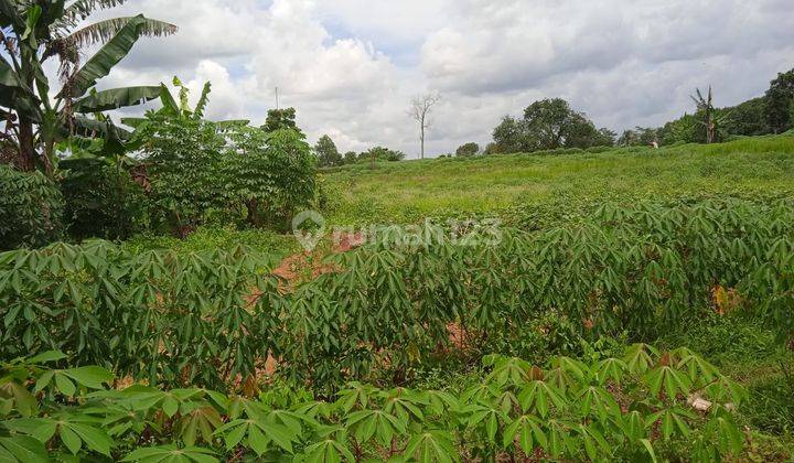 Di Jual Tanah Cocok Buat Pabrik Atau Perumahan Daerah Barengkok 1