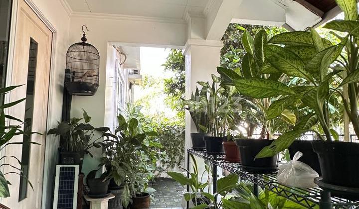 RUMAH PUSPITA LOKA, BSD LOKASI SUDAH RAMAI KAWASAN BERKEMBANG 2