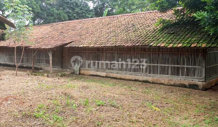 DI JUAL TANAH, BULAKSAGA, CISEENG BOGOR LUAS 1,2H