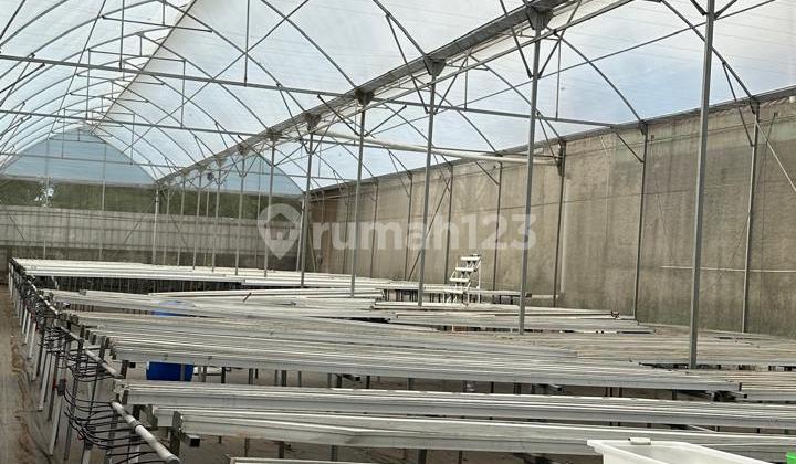 For Sale Ex. Hydroponic Green House Plot, Good Location in BSD