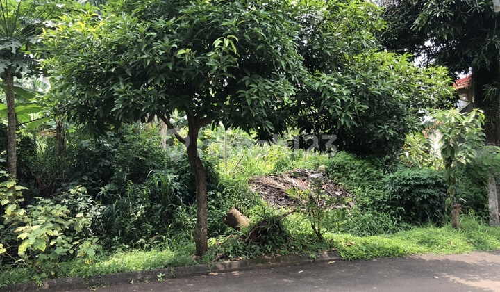 Dijual Cepat Harga Miring Owner Butuh Uangkavling Villa Melati Mas Serpong Dijual Cepat Harga Miring Owner Butuh Uangkavling Villa Melati Mas Serpong