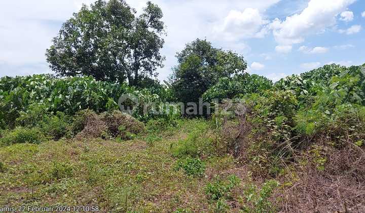 Land for sale near the Gajah Tunggal area, Jatiuwung Tangerang.